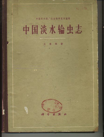 2020-07-21 | 来源