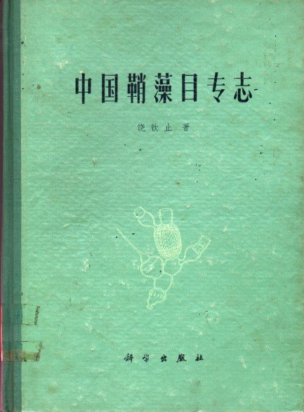 发布时间