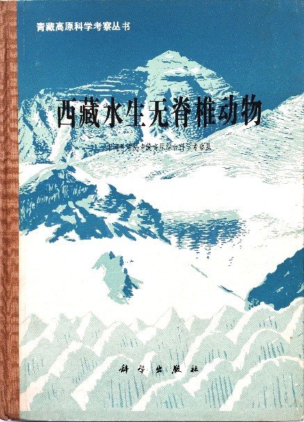 【打印】 【关闭】