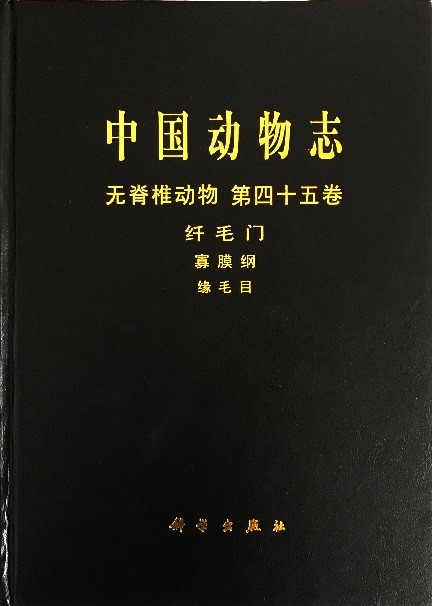 自20世纪30年代以来