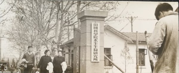 发布时间