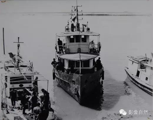 却没有一条可在江河湖泊采集标本的科考