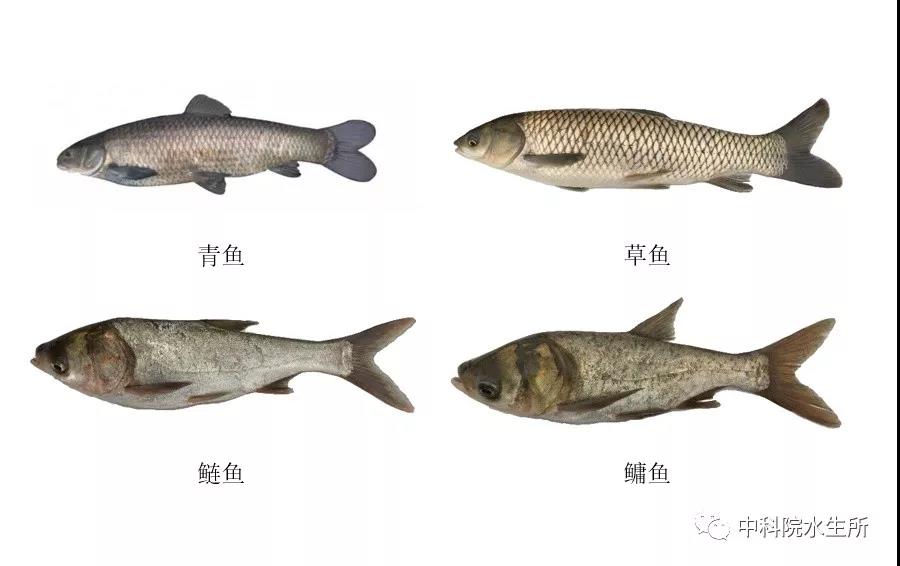 1930－1933年任主任