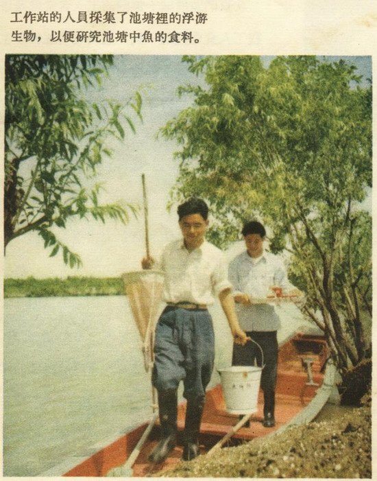 发布时间