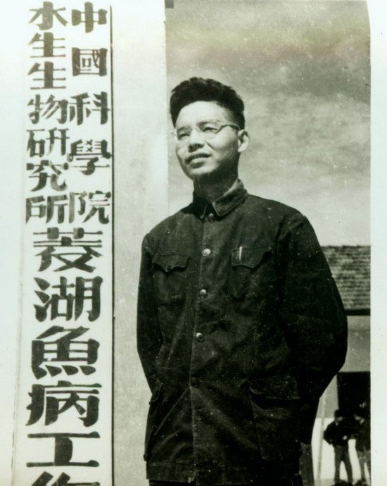 继续浏览