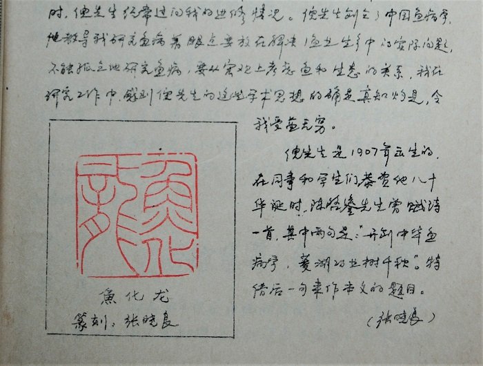发布时间