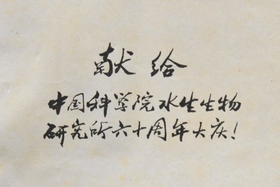 2023年起任所长