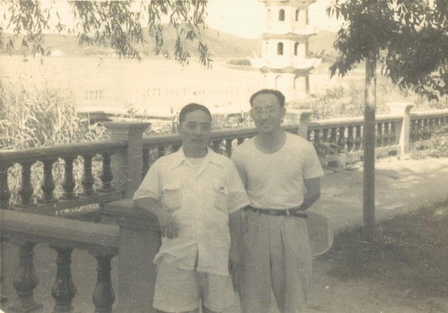 【打印】 【关闭】
