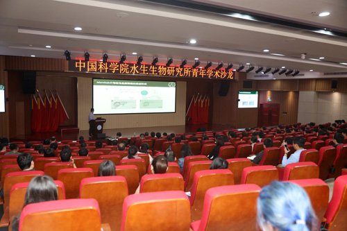 增进不同学科之间的交流