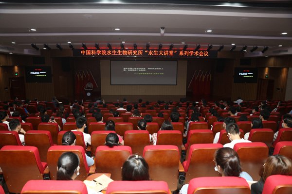 2020-08-05 | 来源