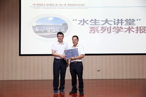 发布时间