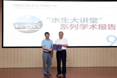 发布时间