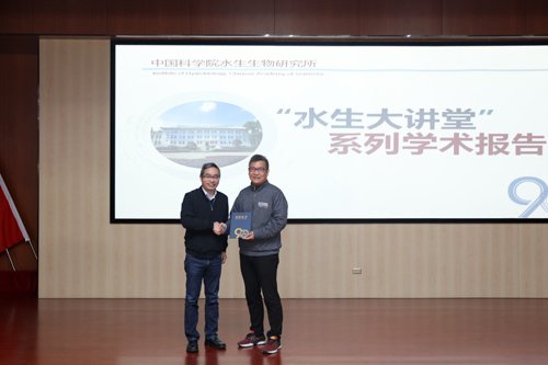 发布时间