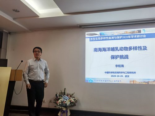 发布时间