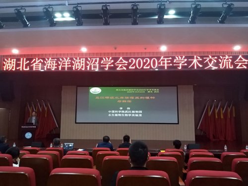 发布时间
