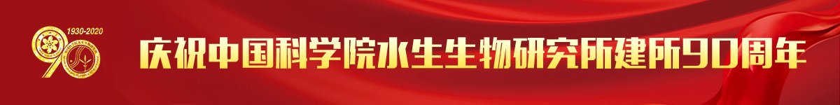 星空体育彩票