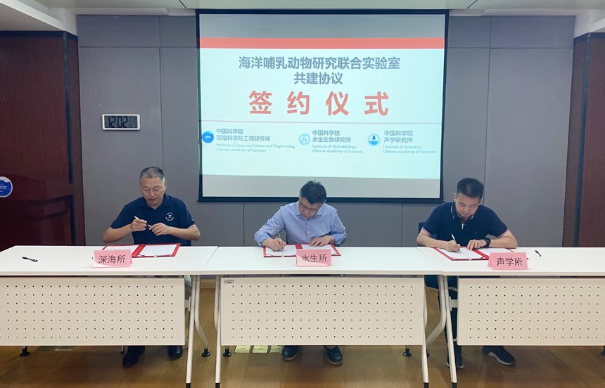 声学所共建海洋哺乳动物研究联合实验室