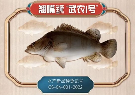 作者:陈庚、黄容