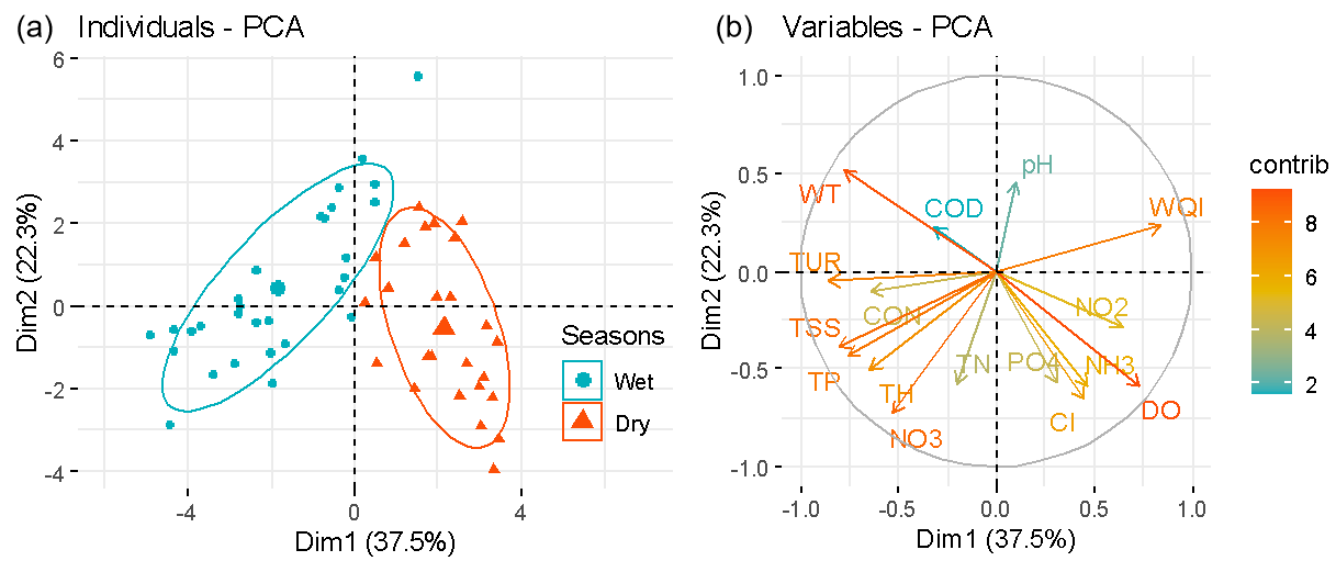 作者:熊芳园