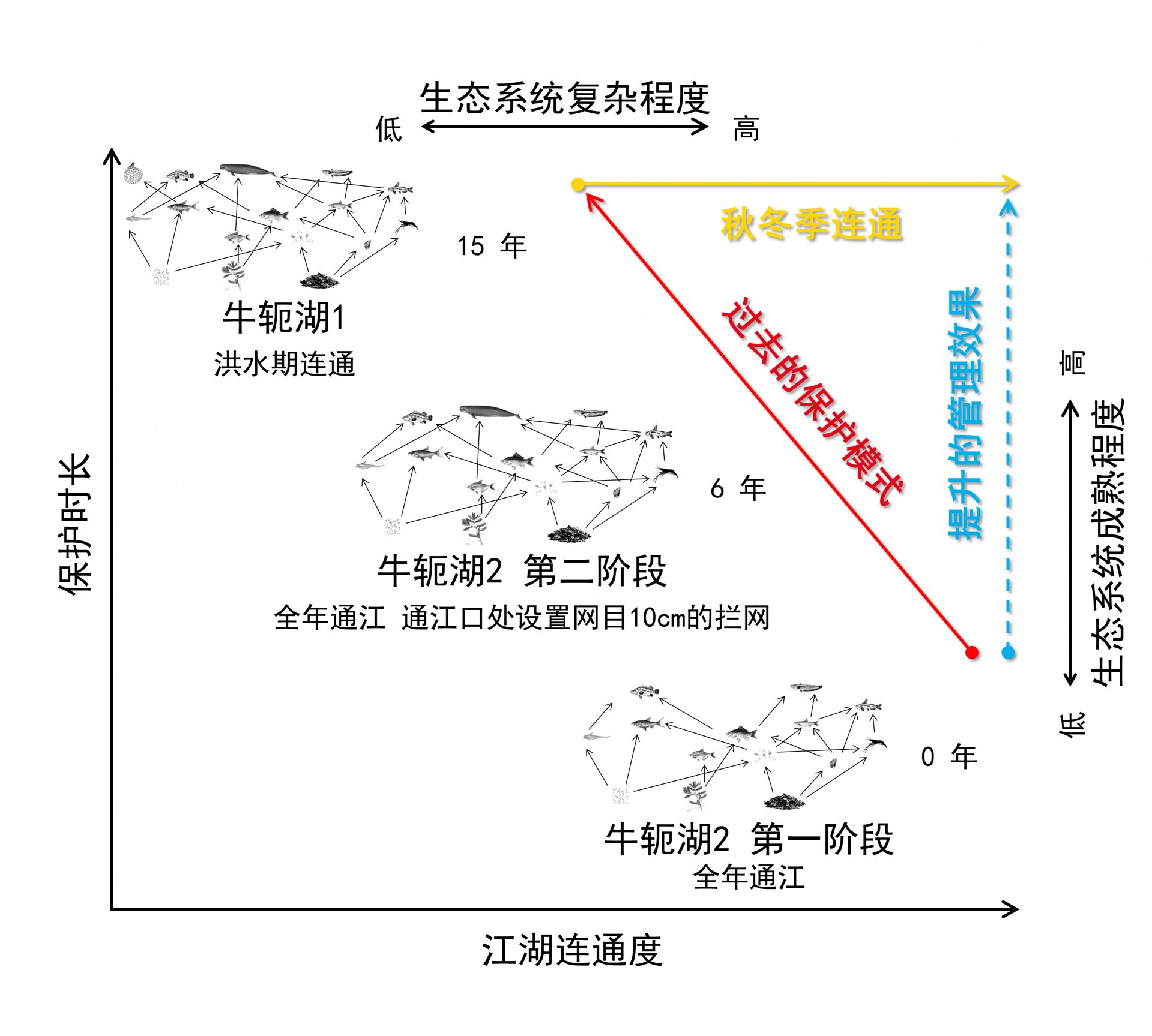 水生所研究提出需加强秋冬季与长江干流