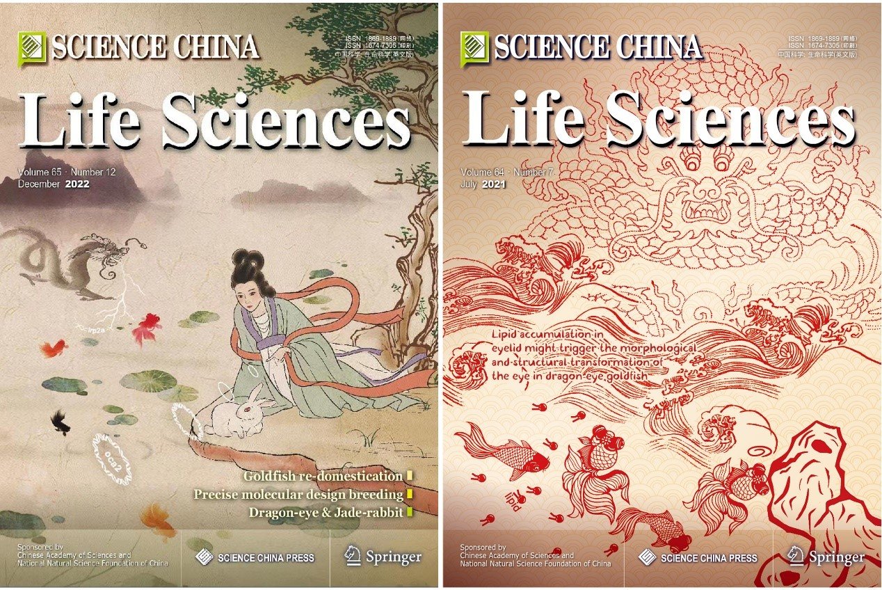 水生所鉴定出金鱼龙睛和白化性状的因果