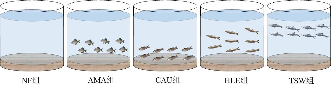 水生所关于浅水湖泊不同生态类型小型鱼