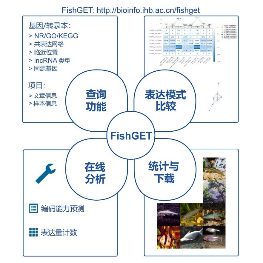 水生所对鱼类转录组相关数据库的开发取