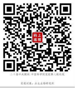 巡视公告