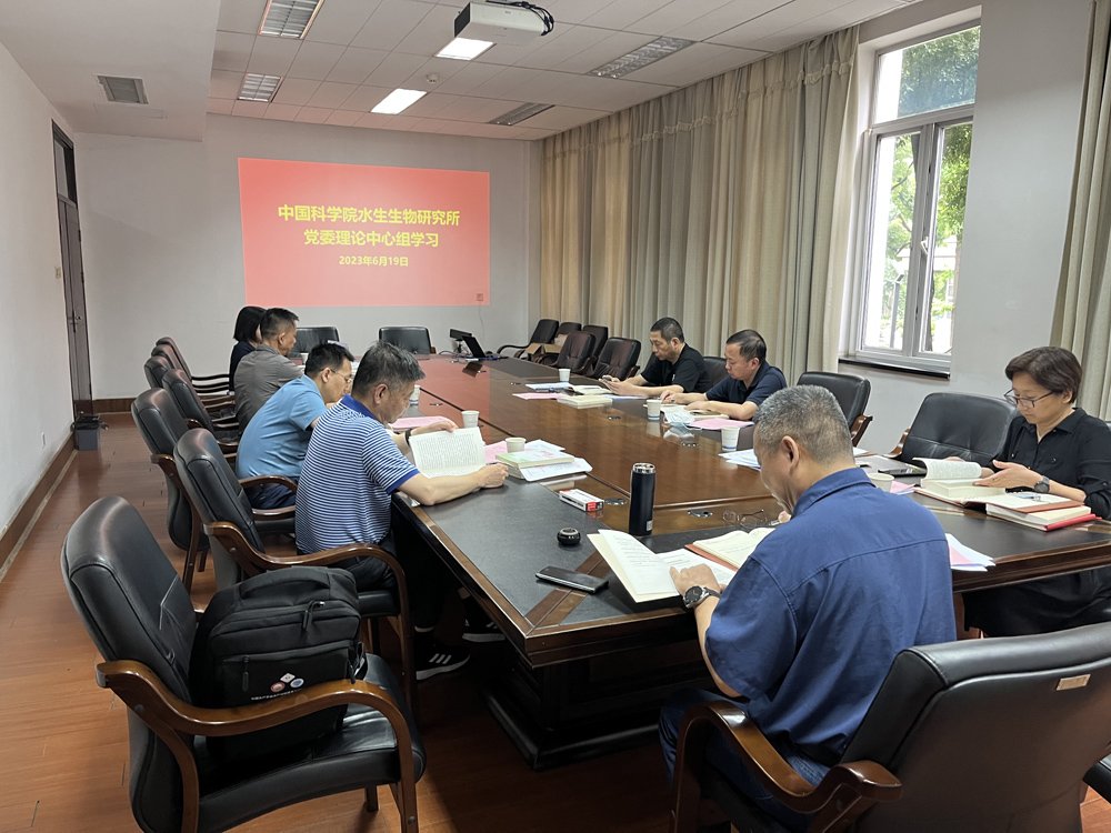 武汉市武昌东湖南路7号 电话