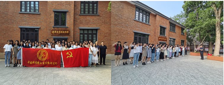 发布时间