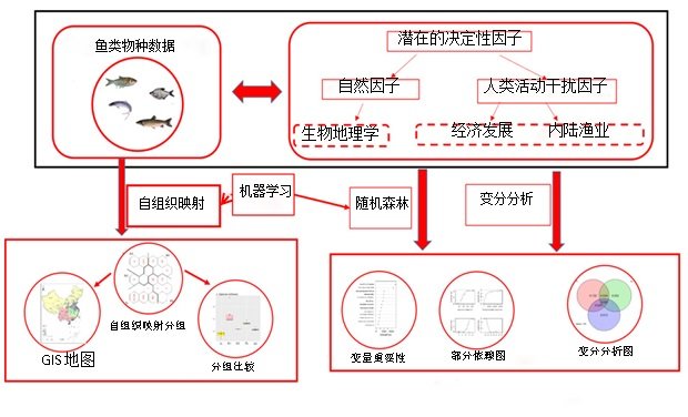 水生所关于中国淡水鱼类多样性及群落组