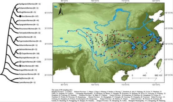 鱼类系统学与生物地理学学科组关于长江