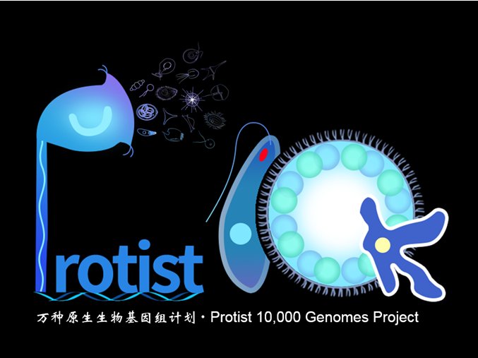 水生所联合发布"万种原生生物基因组计