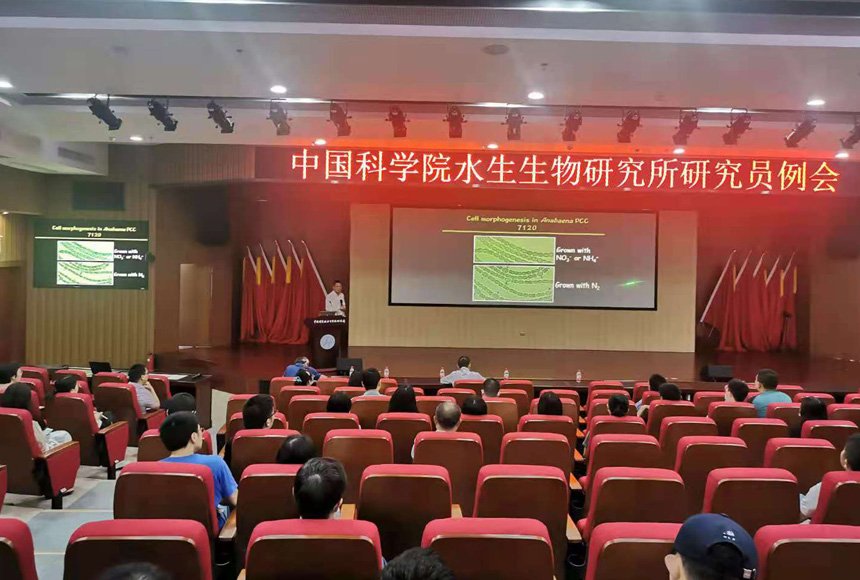 水生所召开5月研究员例会