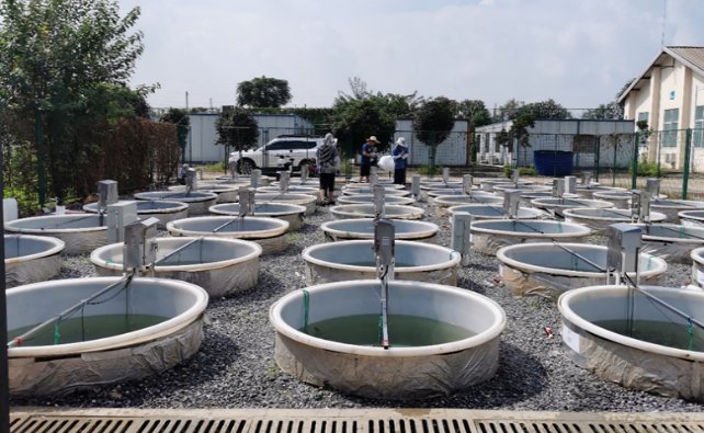 水生所关于气候变暖与富营养化协同影响