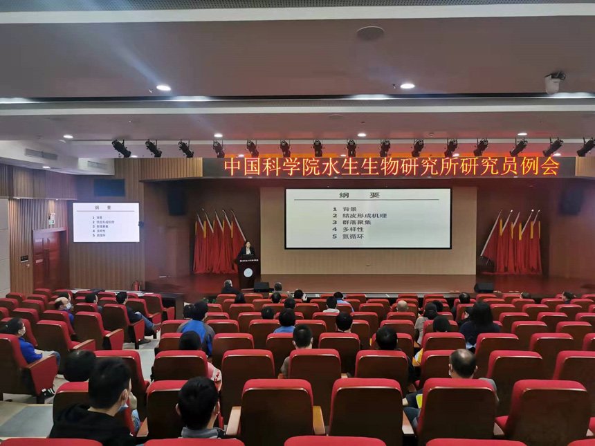 水生所召开10月研究员例会
