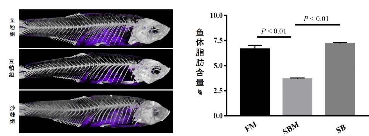 作者：赵旭阳