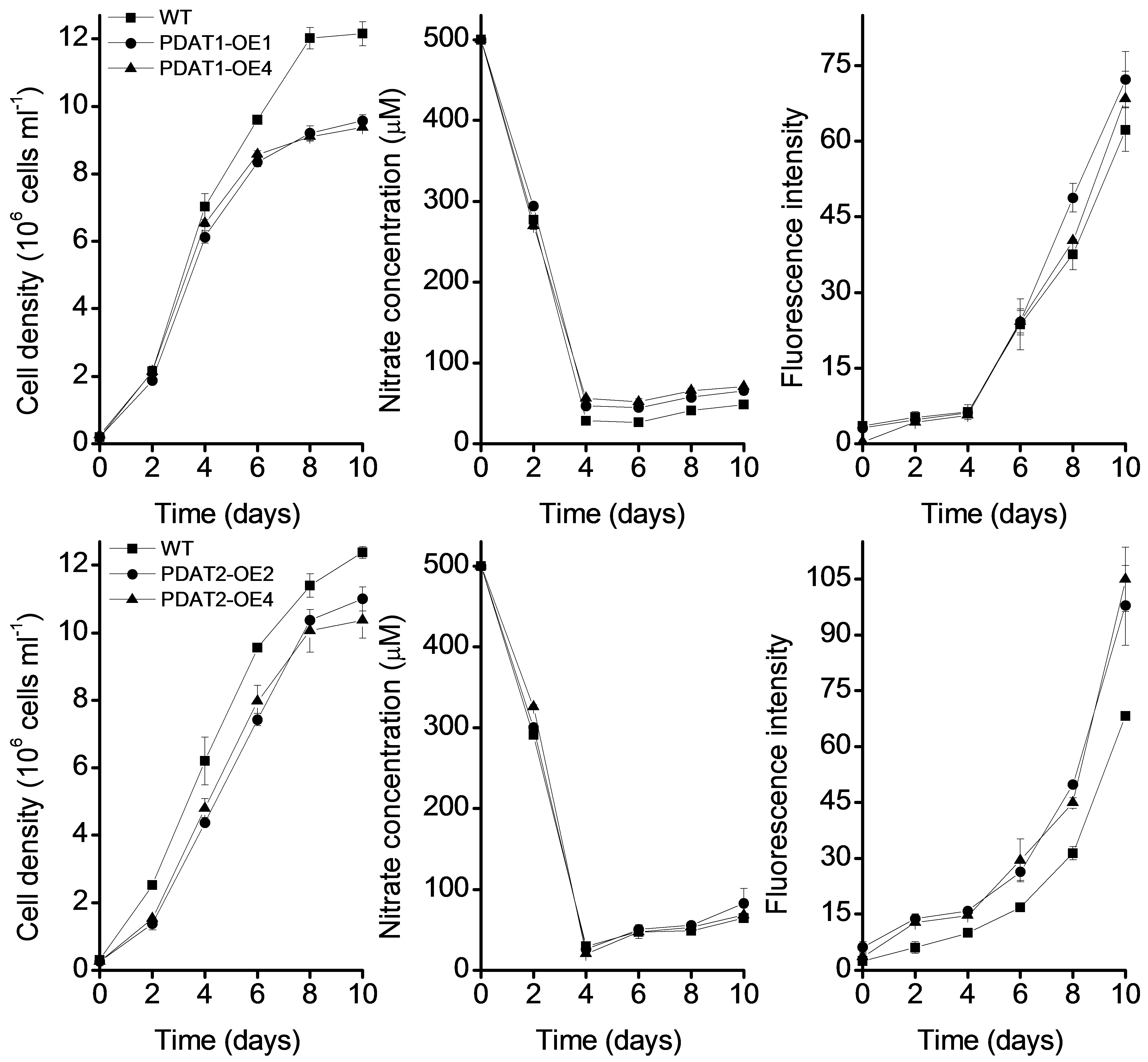 作者：潘玉芳