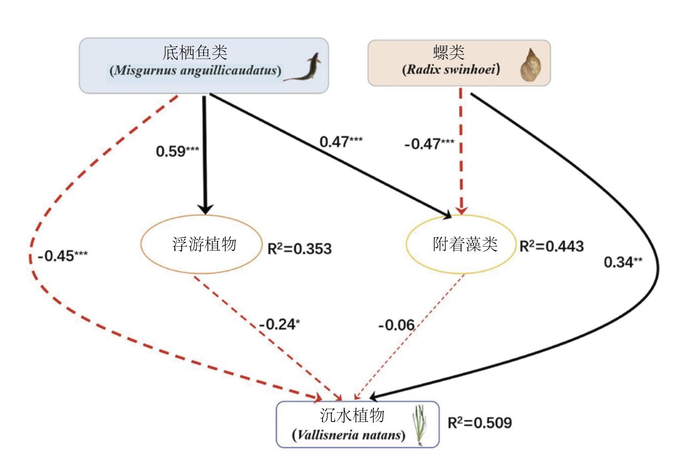 水生所揭示底栖鱼类在富营养水体中的双