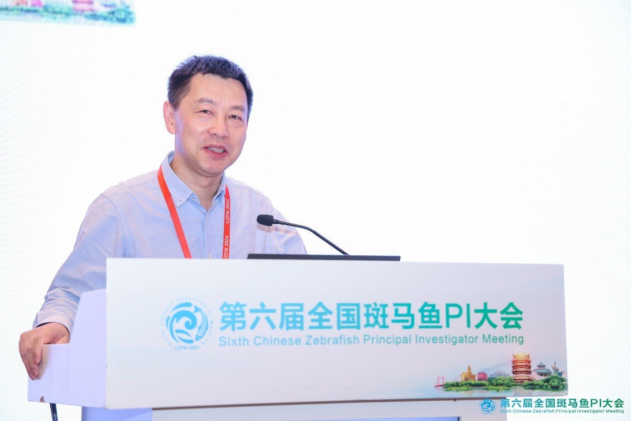 由星空体育彩票最新版下载等主办的第六
