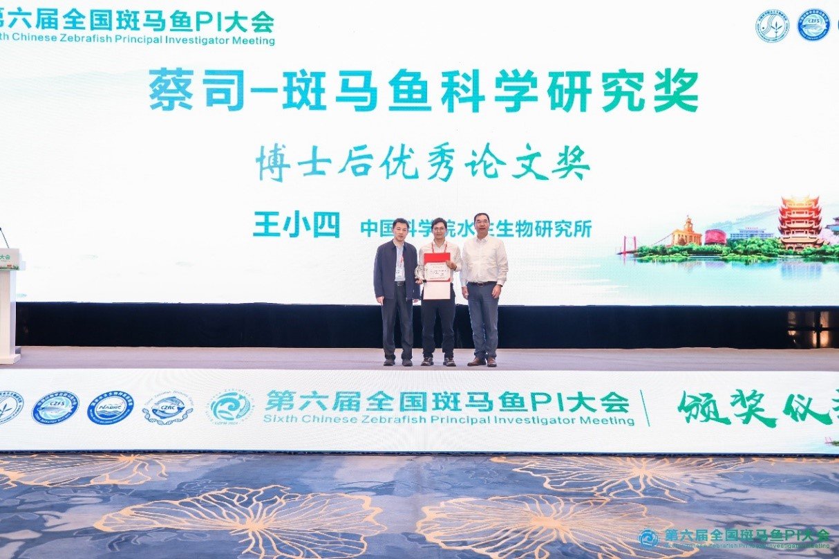 来自斑马鱼等水生动物研究领域内380