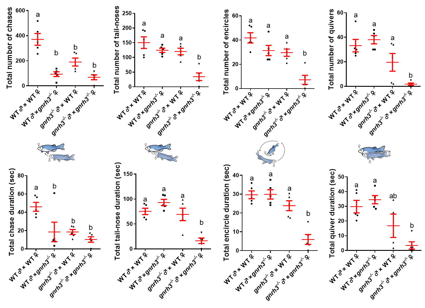 GnRH）是由GnRH神经元合成和分