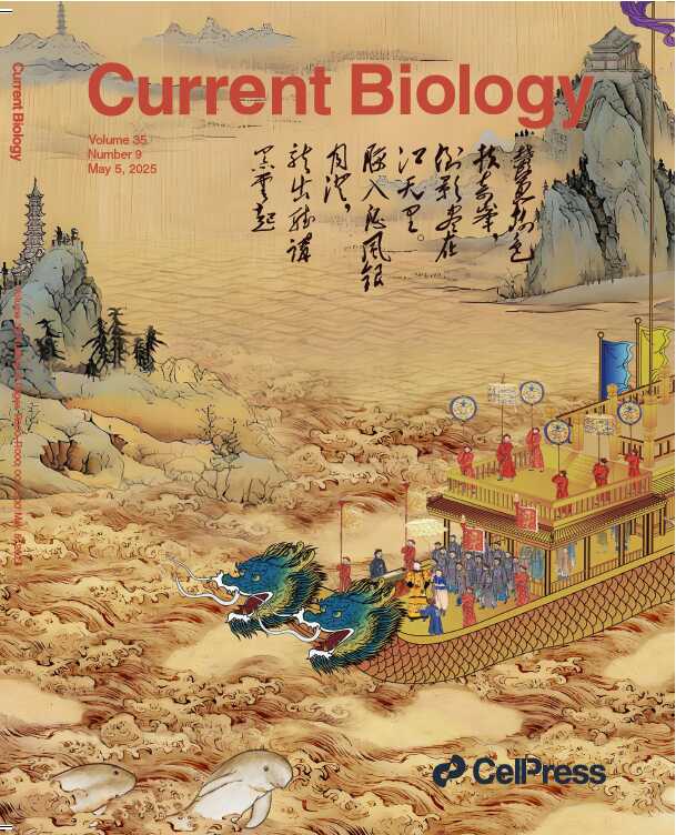 水生所借古诗词探究近1400年长江江