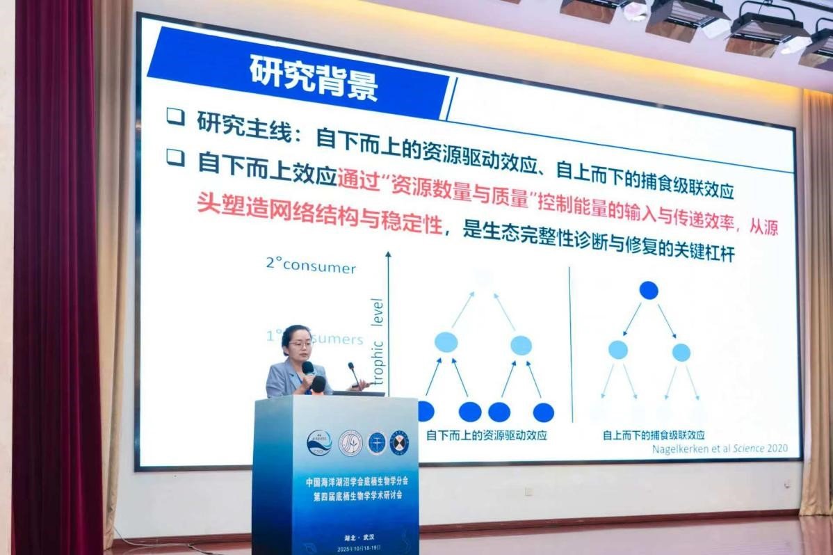 挑战与机遇”这一主题展开深入交流