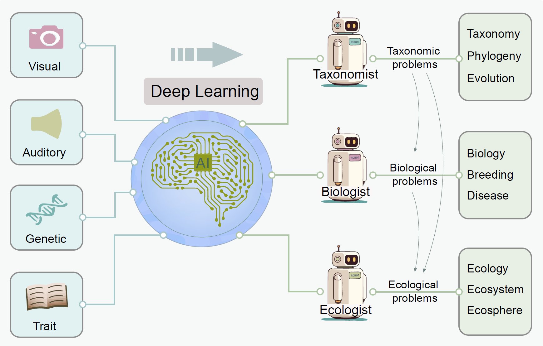 水生所发表综述文章探讨AI驱动的生物