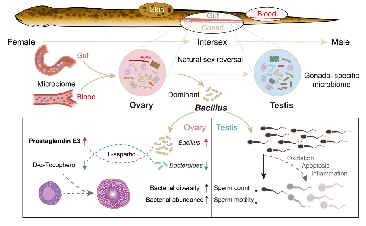 作者：孟恺峰
