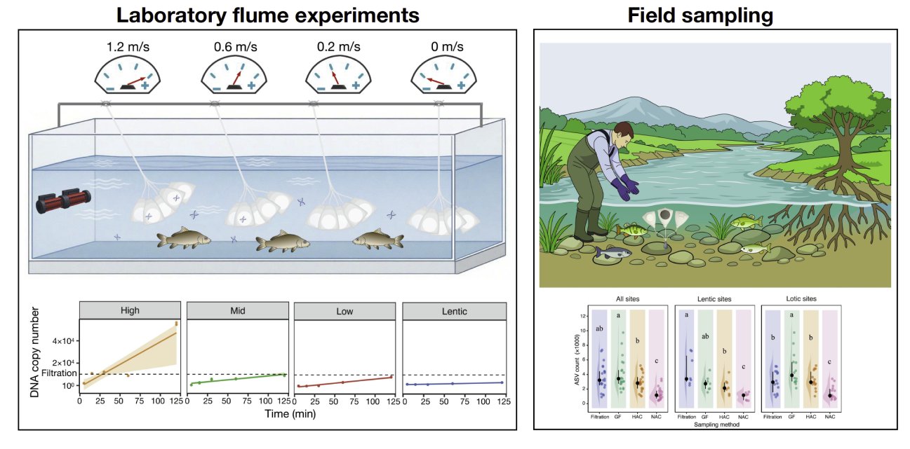 在全球生物多样性持续下降的背景下