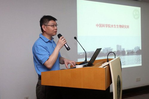 作者：廖彩萍