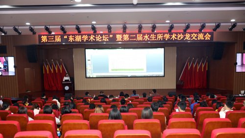 作者：罗情怡