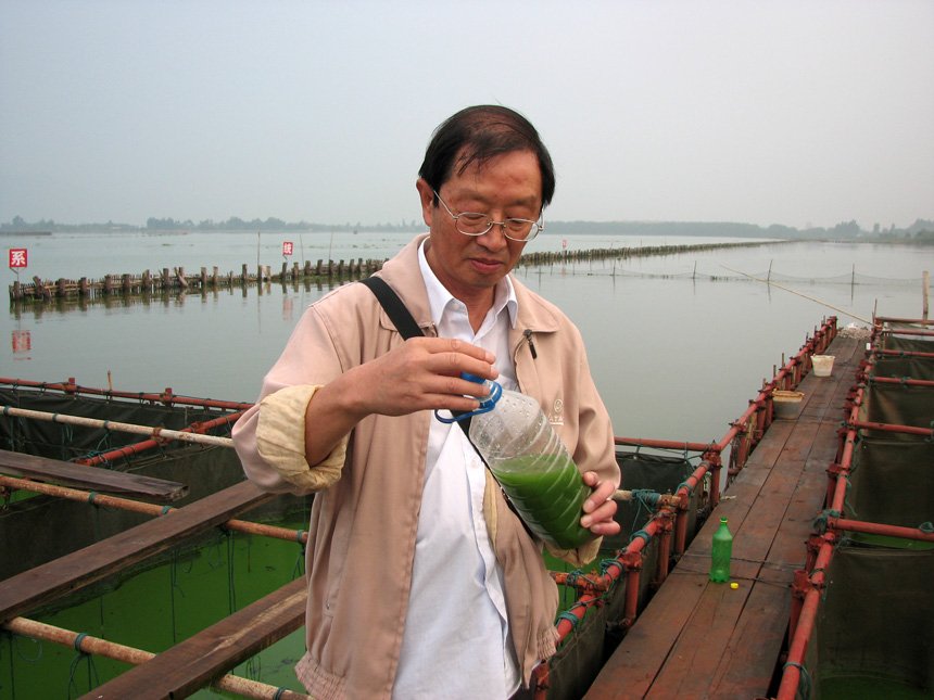 刘永定研究员荣获国际应用藻类学会杰出